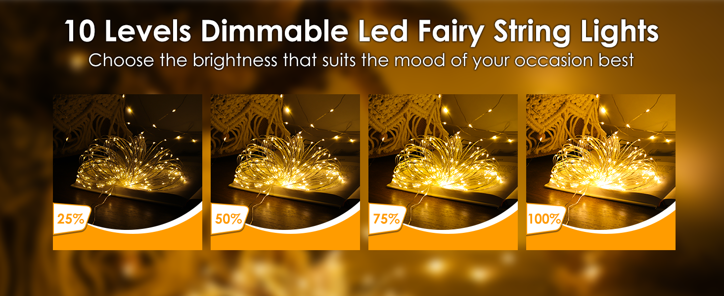 10 levels dimmable fairy lights with remote