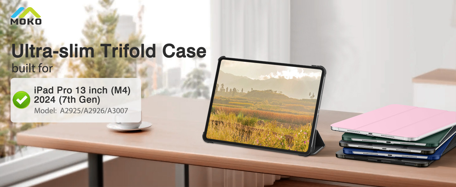 ipad pro 13 inch case