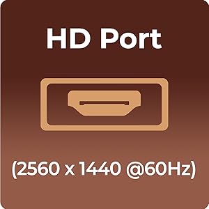 Foxin_Graphics_Card - HD Port