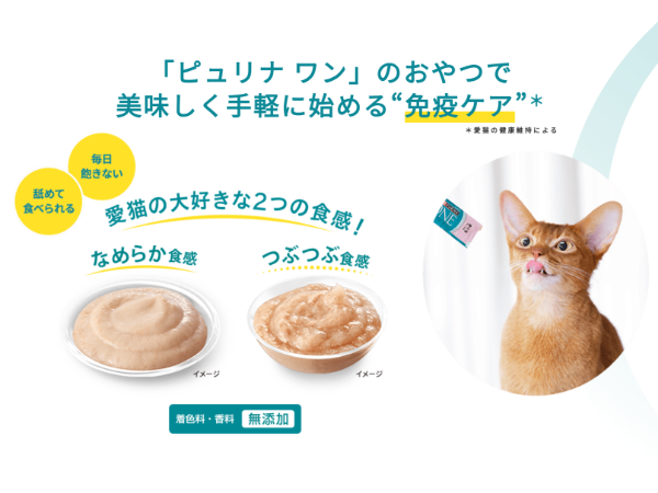 ピュリナワン 優しく腎臓の健康サポート　 11歳以上　チキン2.2kg×6袋 ピュリナワン キャット ドライ 優しく腎臓の健康サポート 11歳