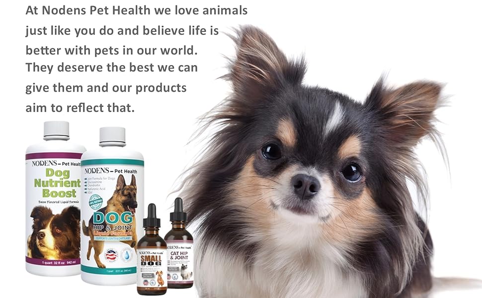 NODENS Small Dog Hip and Joint Liquid Glucosamine for Dogs