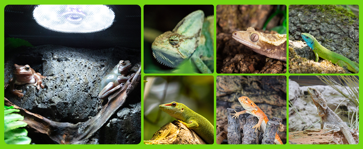 SUKEOPET UVB Reptile Light with Dimming