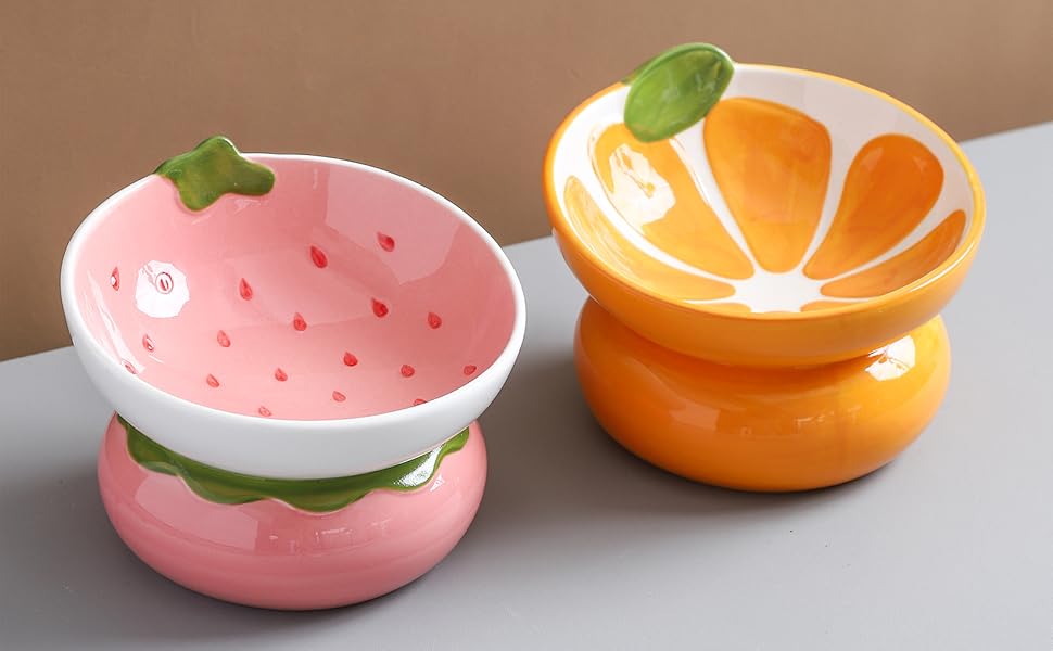 Ceramic Elevated Cat Bowl