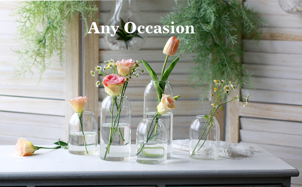 Etolies Glass Bud Vases in Bulk Set of 1... 19 glass bud vases set of 12