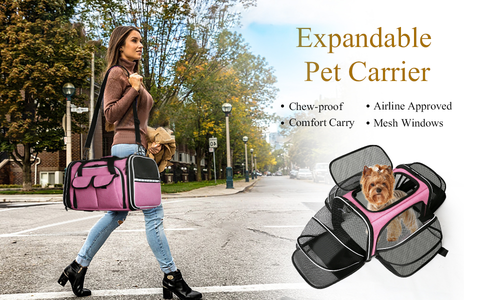 cat carrier for dog 