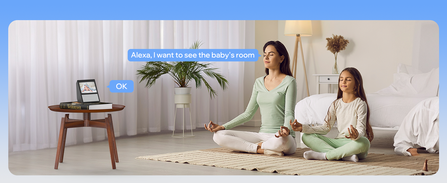 Alexa security camera