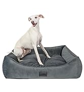 hundebett