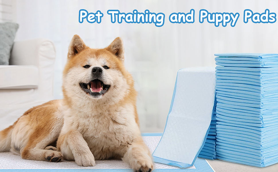 Disposable Puppy Training Pads 200 Count Pee Pads for Dogs, Cats
