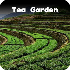 Small manufacture image 5