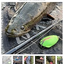 Amazon | 【TRANSCENDENCE/トランスセンデンス】Trapa 77B+