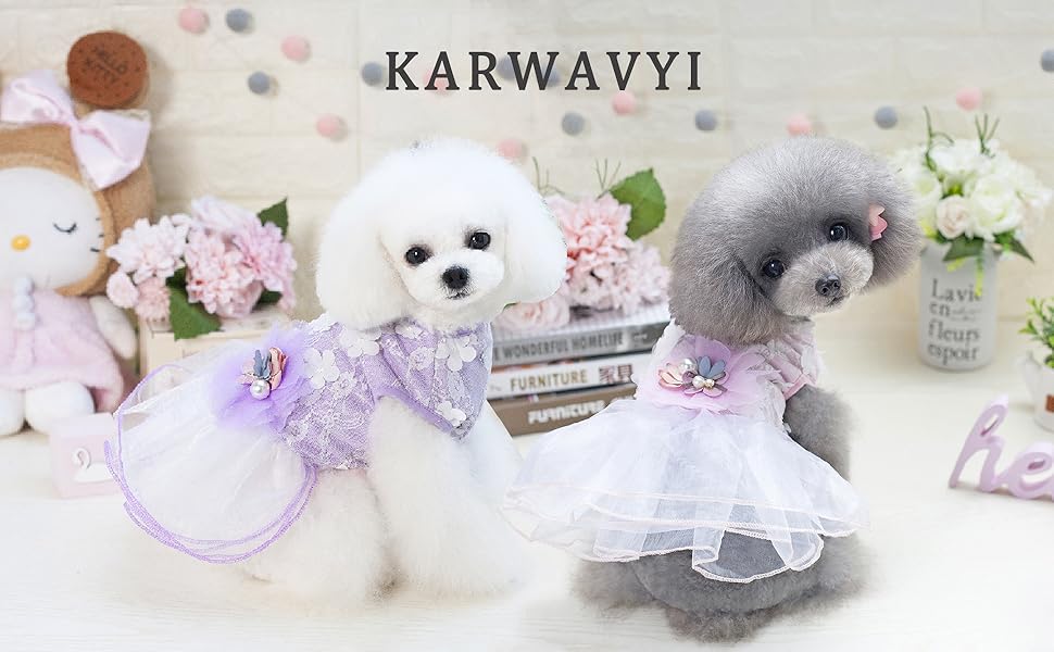 犬服 犬ドレス inuya_idwt-ch196