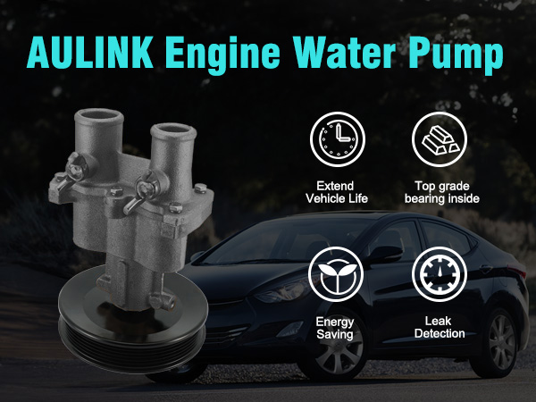 Amazon.com: AULINK Raw Sea Impeller Water Pump 8M0139995 for
