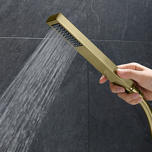 bathtub faucet with sprayer