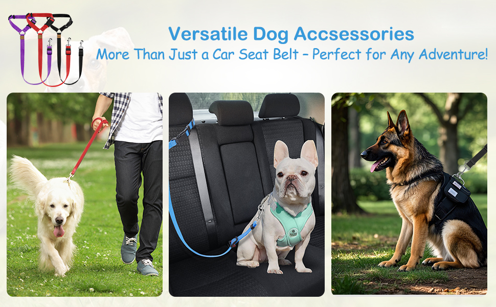 3 Pack Dog Seat Belts for Car