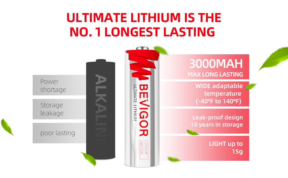 BEVIGOR AA Lithium Battery