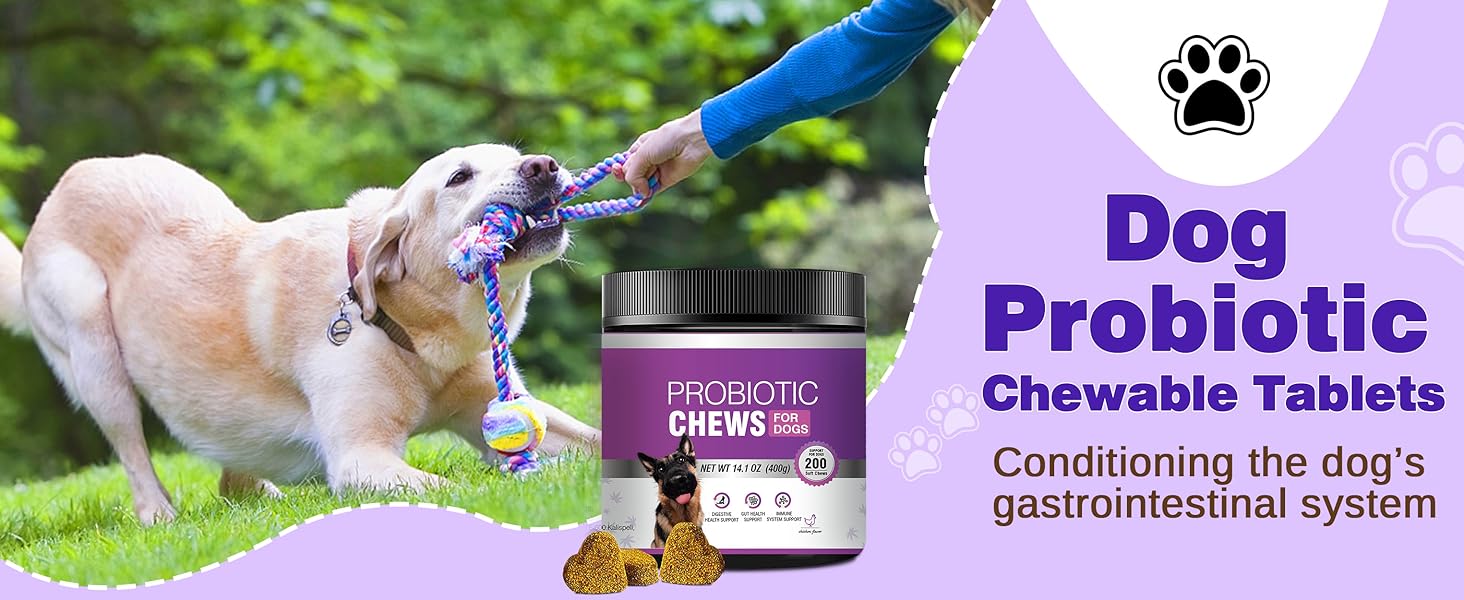 Dog Probiotic Chews