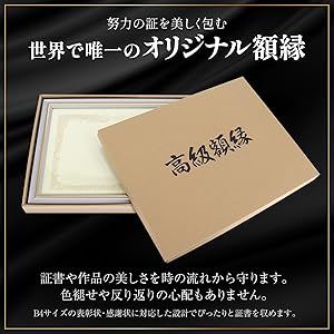Amazon.co.jp: 【国産高級木製額縁】医師免許証 (シルバー, 医師