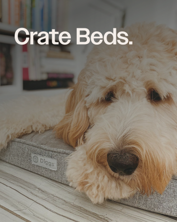pet crate dog crate dog accessories dog chew dog crate bowl