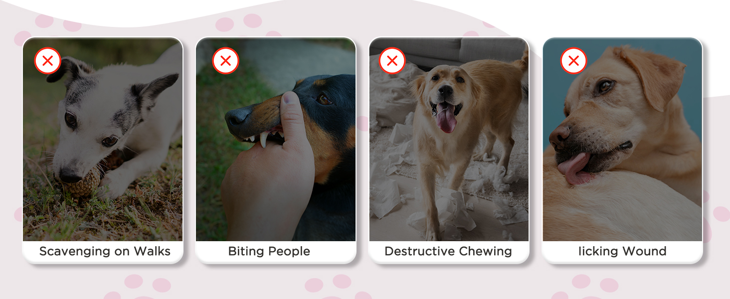 Large manufacture image 5