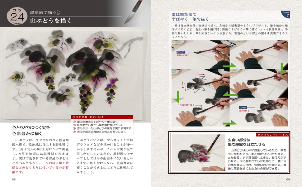 Amazon.co.jp: 水墨画 表現を磨く50のコツ 新版 基本から特殊技法まで