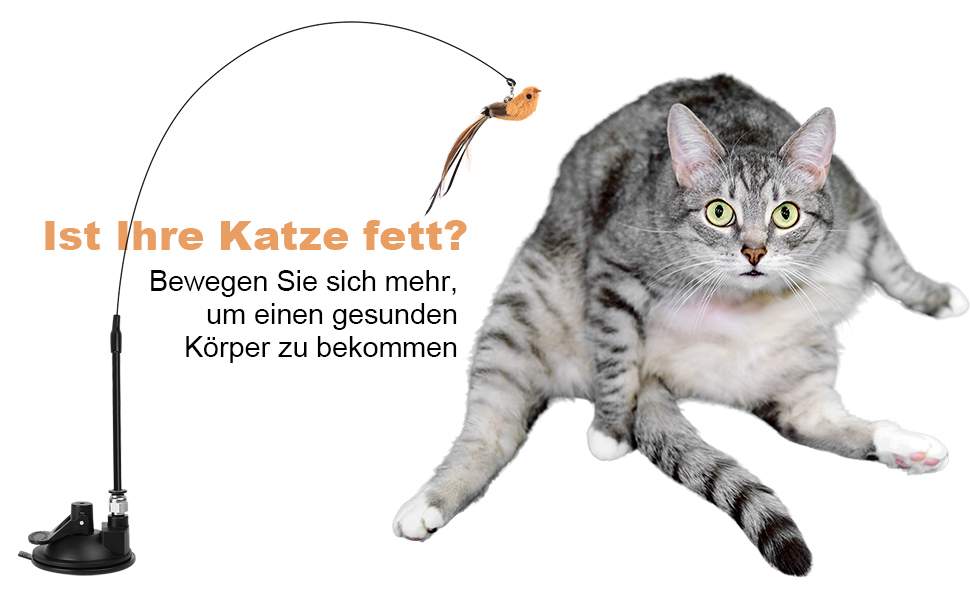 Grau getigerte Katze neben einem Katzenspielzeug mit baumelnder Feder. Der deutsche Text deutet darauf hin, dass das Spielzeug die Bewegung der Katze fördert und so für eine bessere Gesundheit sorgt.