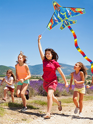 kites for kids easy to fly kites for adults kites for kids ages 4-8 beach kite