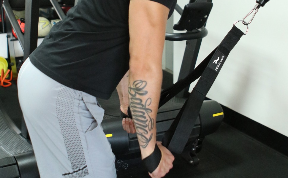 Ludus Gear Long Tricep Rope Cable Attachments, Two Lengths, Face Pulls