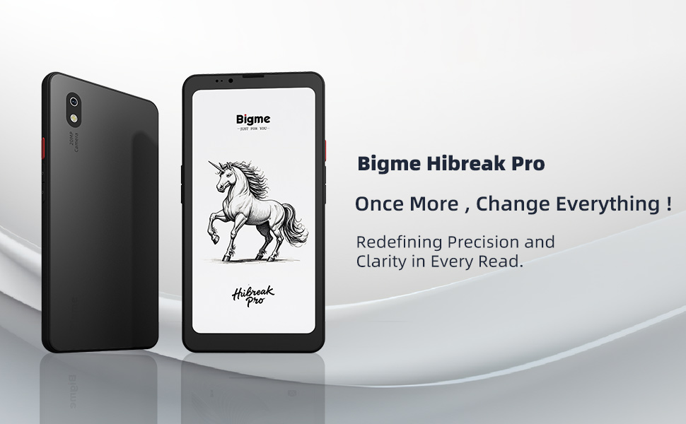 Amazon.com: Bigme HiBreak Pro 6.13