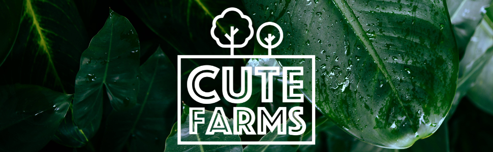 Cute Farms Houseplant Tap Water Conditioner 16oz Cute Farms