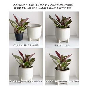 Amazon.co.jp: 直径7cm高さ2cm inakougei（イナコウゲイ） 鉢