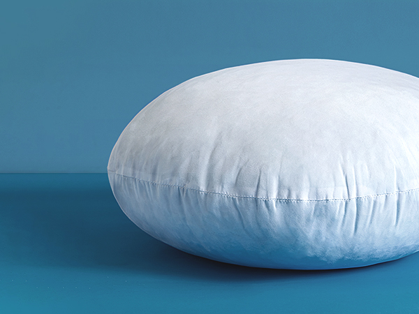 Amazon.com: MIULEE 14 Inch Round Pillow Insert, Floor Pillow
