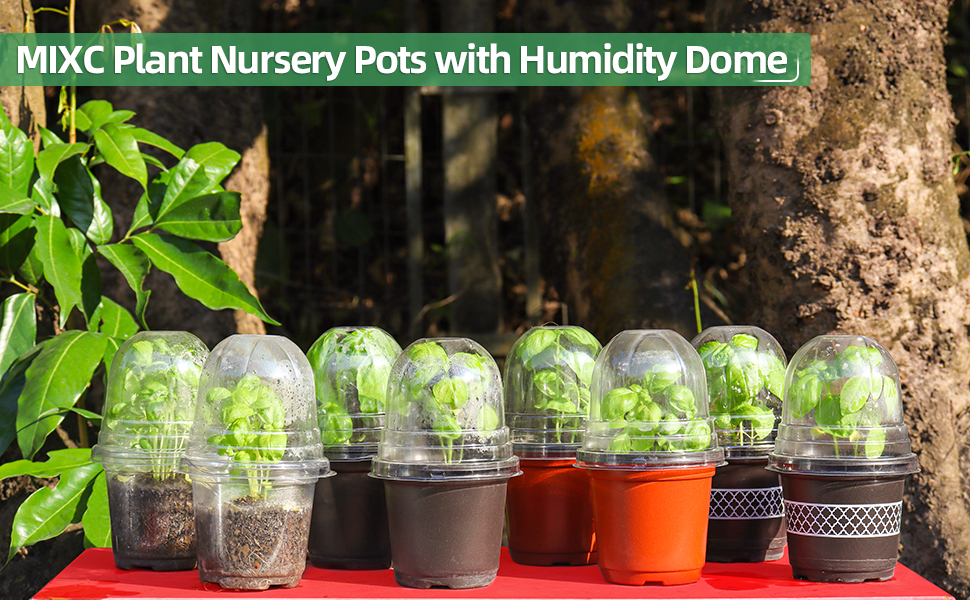 MIXC Clear Plant Nursery Pots with Humidity Dome 4" Soft Transparent Plastic