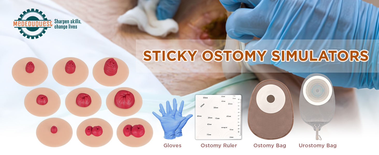 Stoma Training Model
