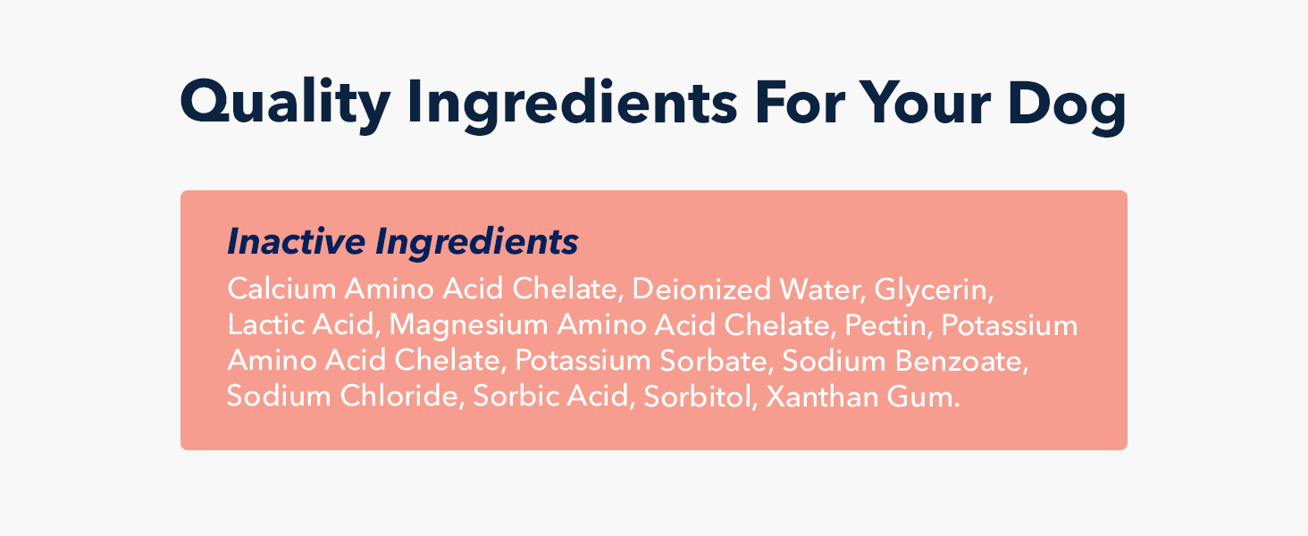 dog digestive remedies