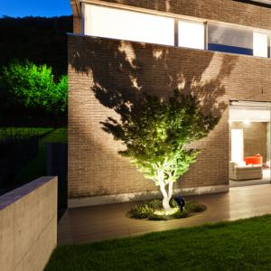 Low Voltage Landscape Lights Tree lights