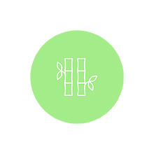 Drunk Elephant Juju Bamboo Powder