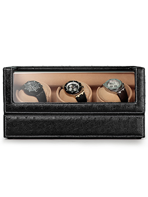 watch winder for rolex