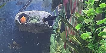 Magnetic Rock cave in Tank