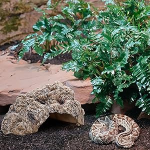 Snake Turtle Hideout Stone