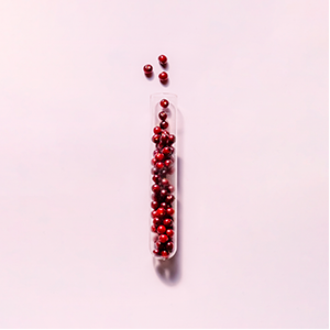 wild chokecherries in glass tube