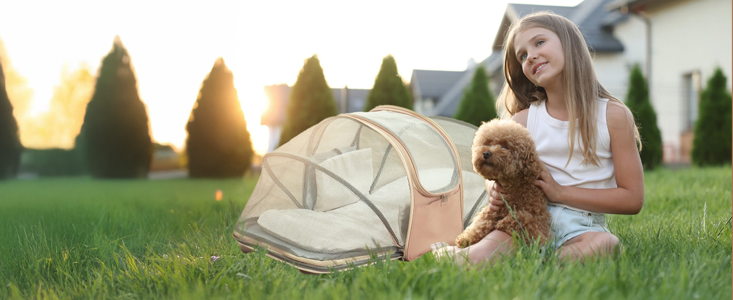 Luggage-Compatible Pet Carrier for Travel