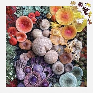 Galison, gift store, planners, notebooks, puzzles, stationery, gifts, gift shop, gift, planner, game