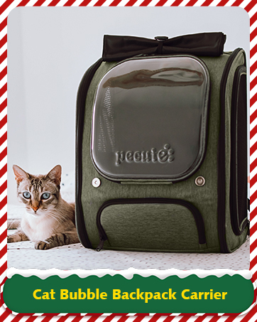 cat bubble carrier backpack