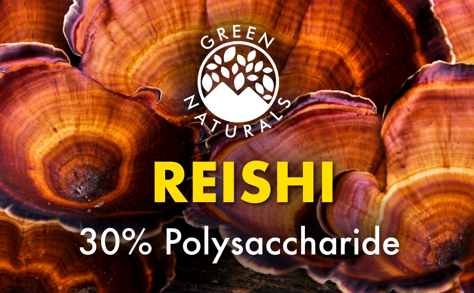 maitake mane pilzpulver schwindel übelkeit zhi reischi raishi raishi lions lucidum 