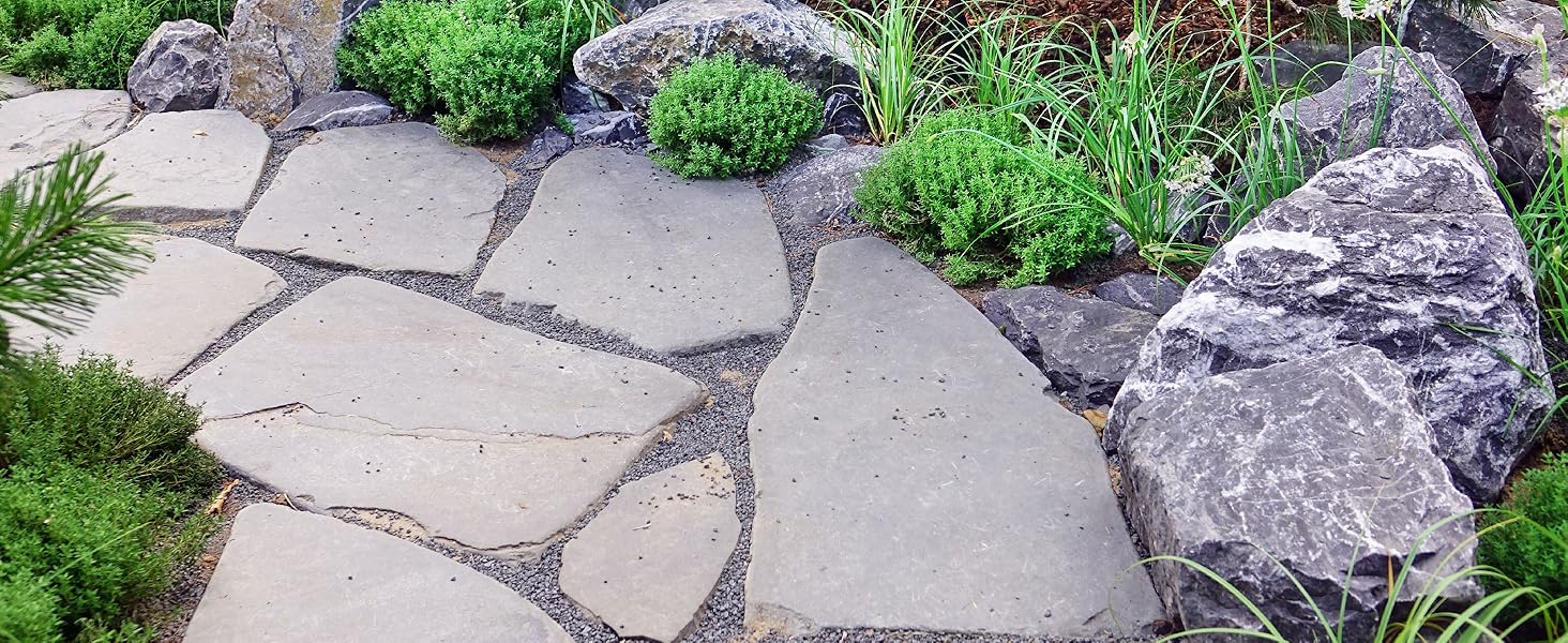 Patio Magic! Concentrate Ideal for Patios, Paths and Driveways (Kills