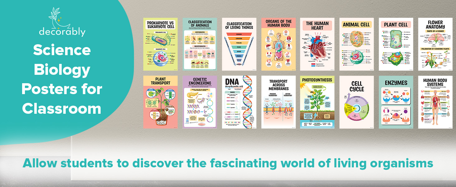 12 Earth Science Posters for Classroom Middle School, 11x17in Science