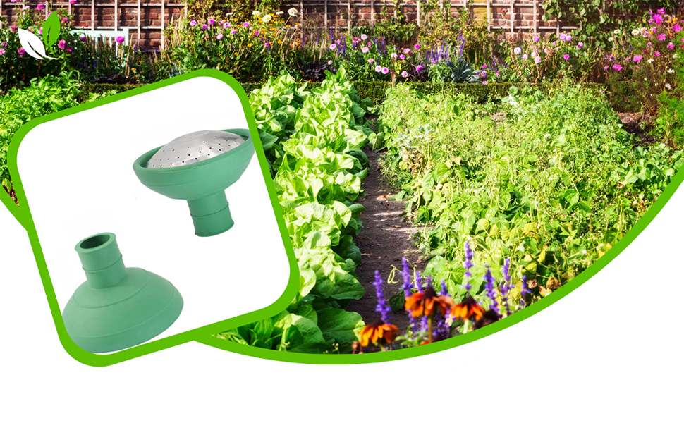 herb garden with spare spouts