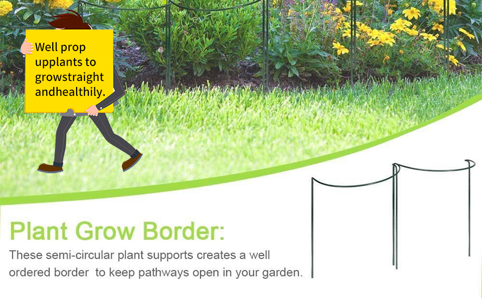 plant grow border