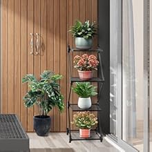 shoe rack