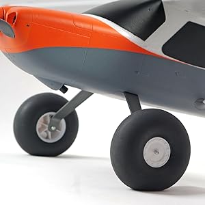 Tasman Tires